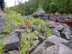 Petawawa River (Jul 2012) - B and S (2) - 100
